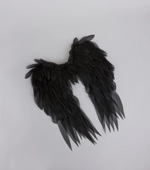 Heaven Sent Angel Wings
