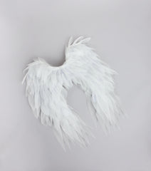 Heaven Sent Angel Wings