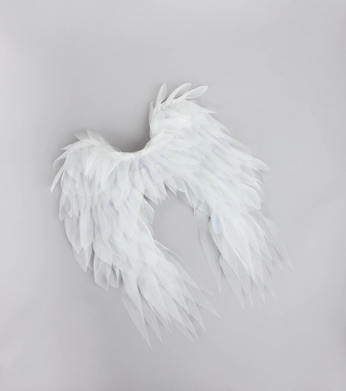 Heaven Sent Angel Wings